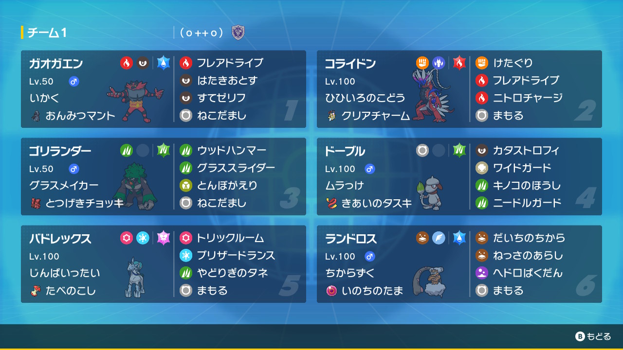 チーム全体の画像